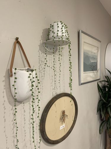 Customer photo review of FOLD Round Shelf 150