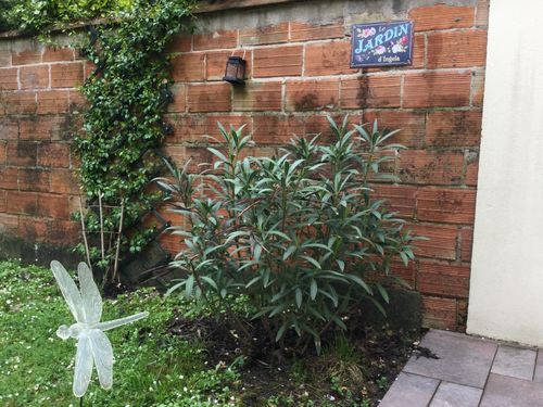 Customer photo review of Mon jardin/potager/autre - Plaque de porte personnalisée