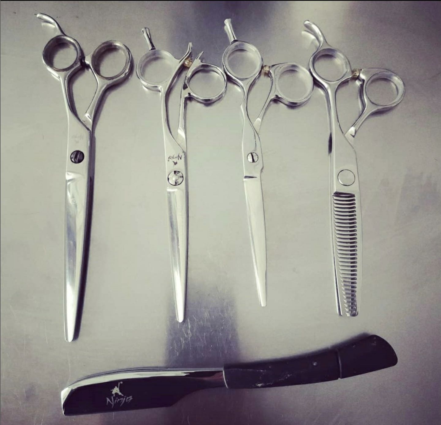 Customer photo review of CROCODILE THINNER