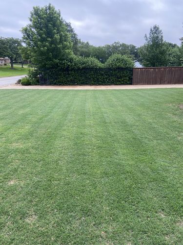 Customer photo
