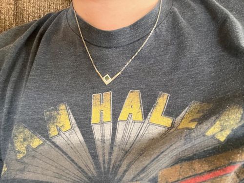 Customer photo review of V Shiny Necklace