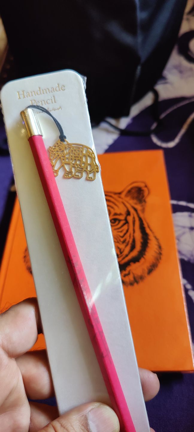 Customer photo review of Pencils with Charms - Assorted