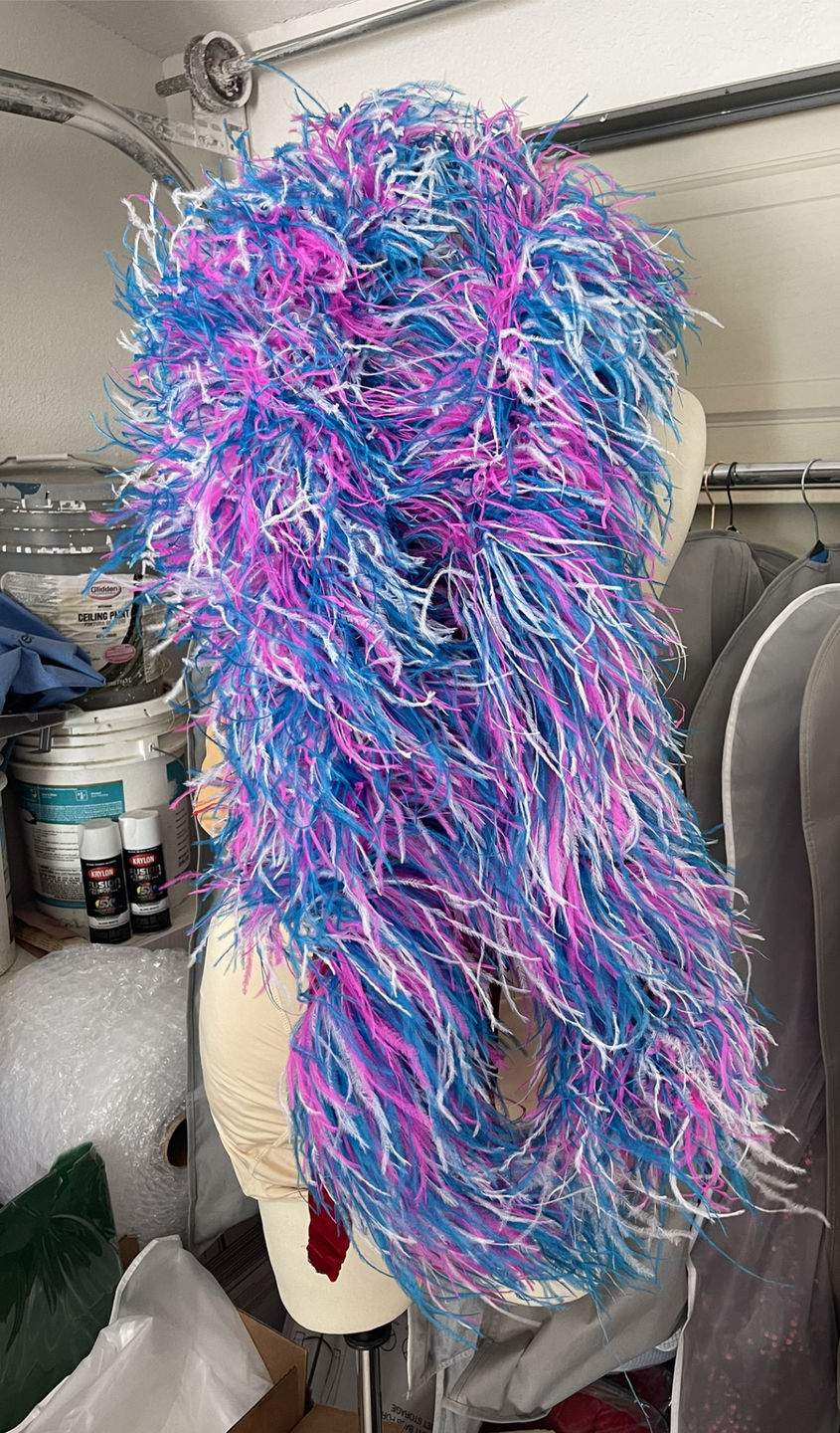 Customer photo review of Ostrich Multi Color Boa