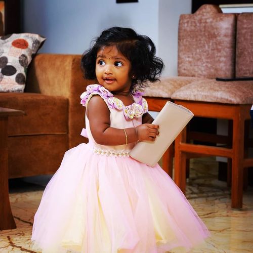 The Nesavu customer review from Sai Nandhini