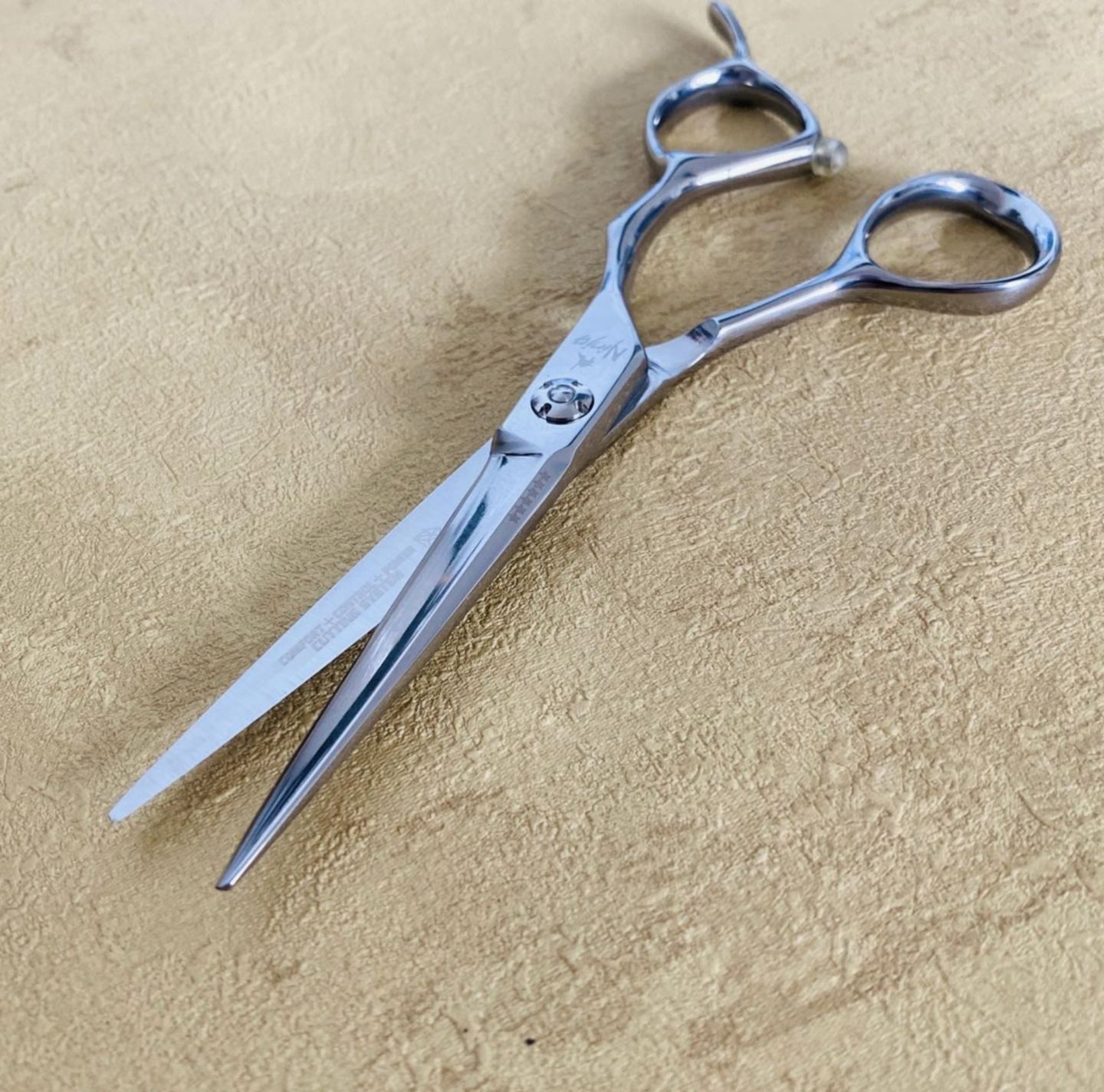 Customer photo review of ERGO