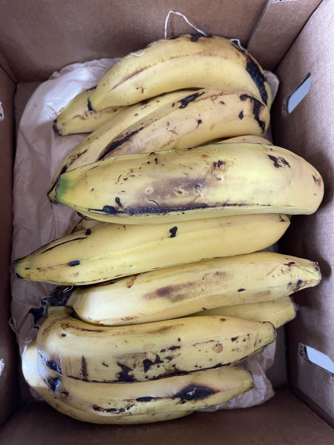 Customer photo review of Gros Michel Banana Box