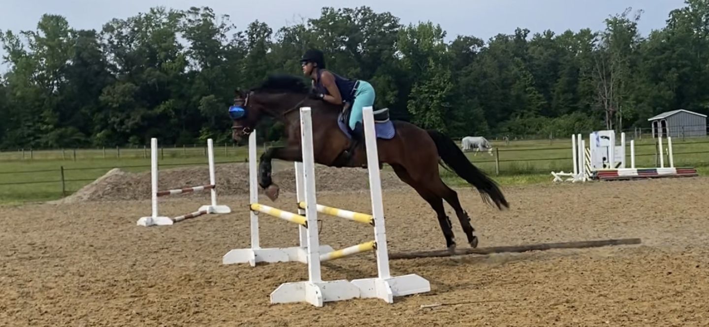 Customer photo review of eVysor - UV Horse Riding Goggles!