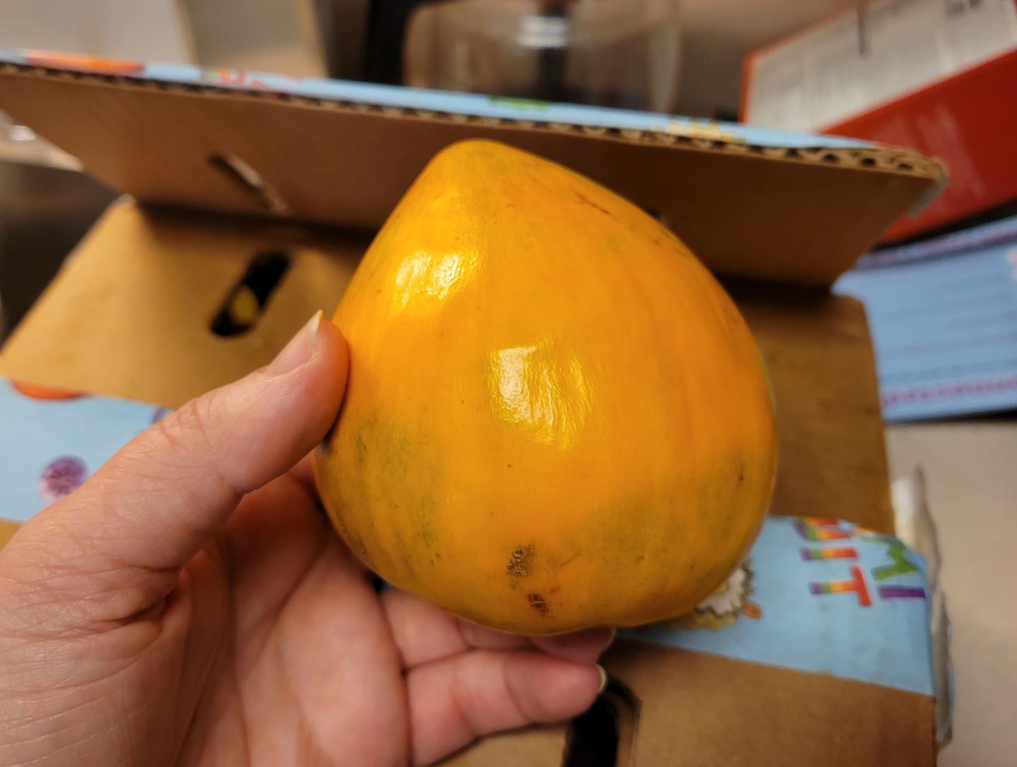 Customer photo review of Eggfruit (Canistel) Box *Pre-Order*