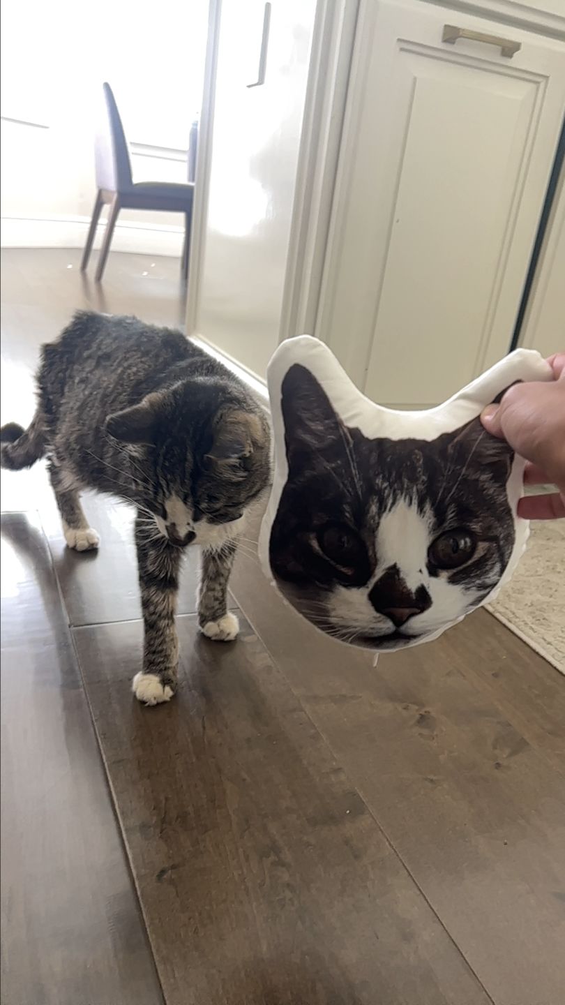 Customer photo review of Custom Pet Face Shaped Pillow from Your Pet Photos, Customized Pet Head Pillows