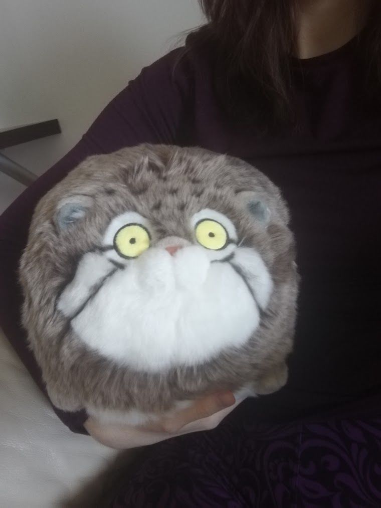Customer photo review of Chubby Pallas's Cat Stuffed Animal Plush Toy, Manul Plushies