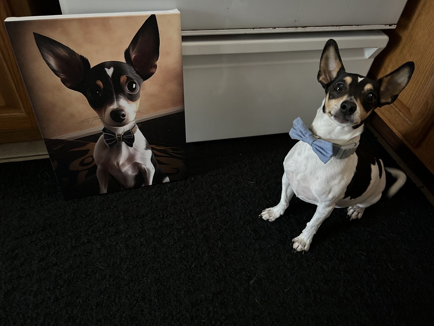 Customer photo review of Custom Pet Portrait