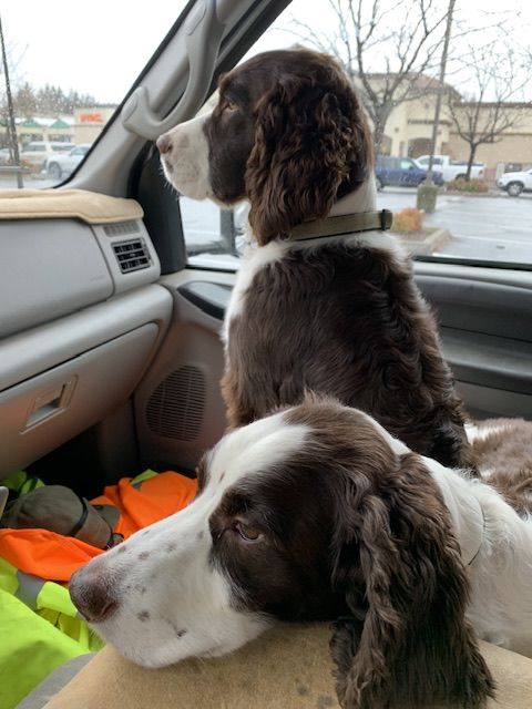 Customer photo review of Waterproof Single-Seat Cover