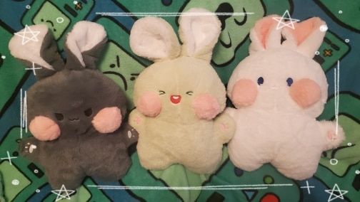 Customer photo review of Funny Bunny Plushies