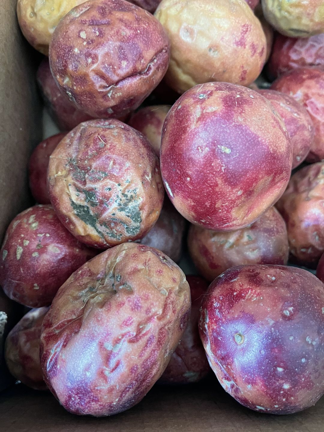 Customer photo review of Purple/Pink Passionfruit (Lilikoi) Box
