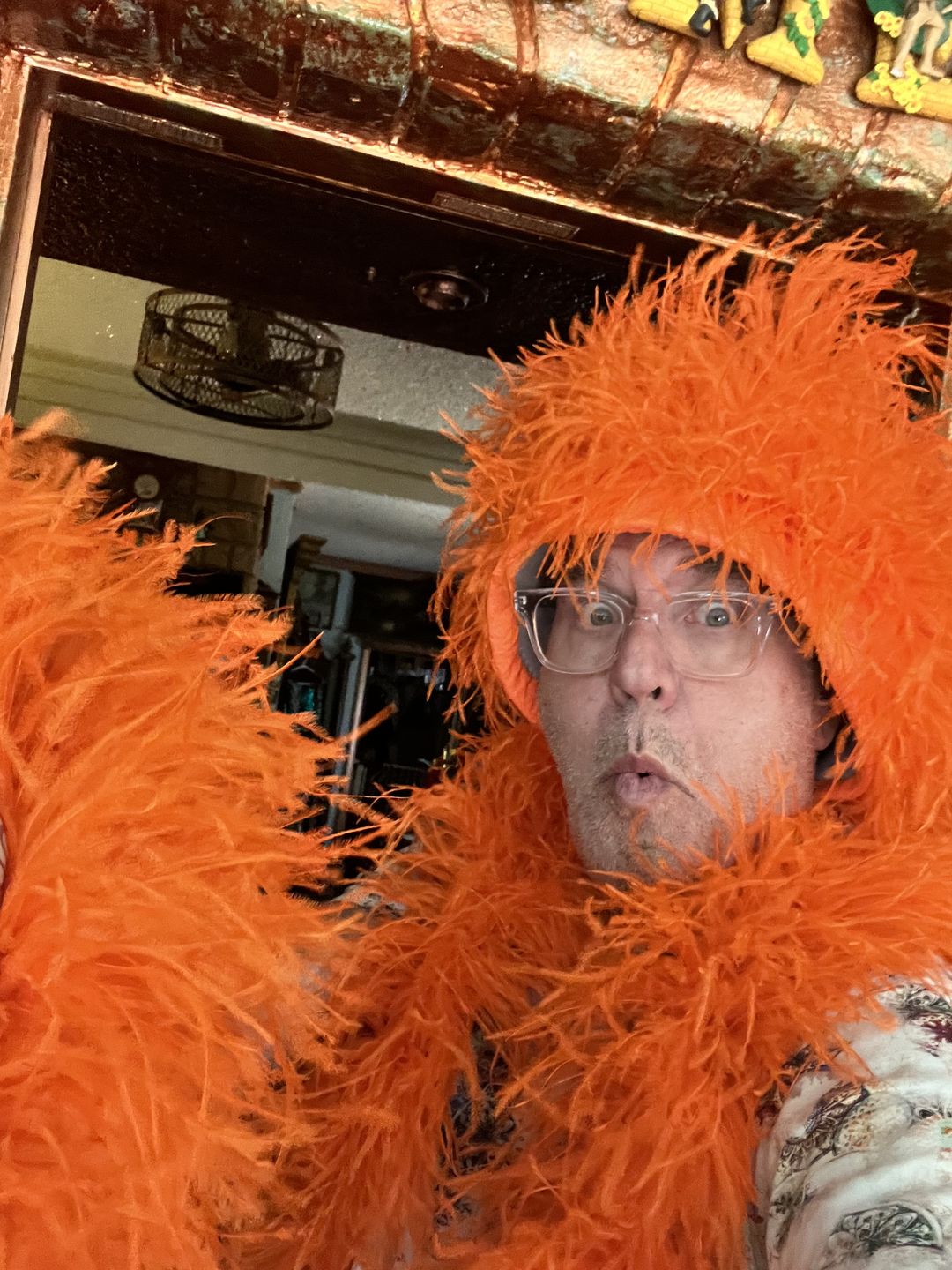 Customer photo review of Ostrich Feather Boa