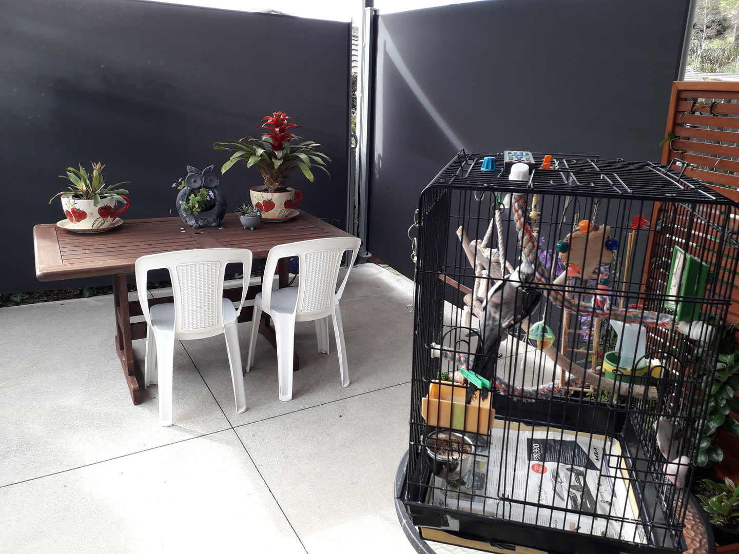 Customer photo review of Patio Screen Retractable Side Awning 2m x 3m
