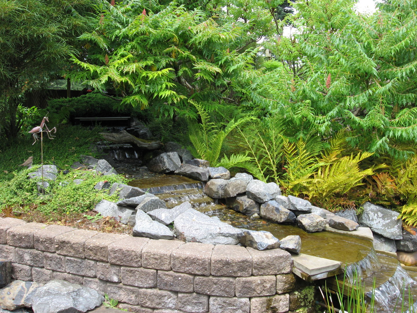 Customer photo review of Granular Summer-Maintenance Heterotrophic Bacteria and Enzymes