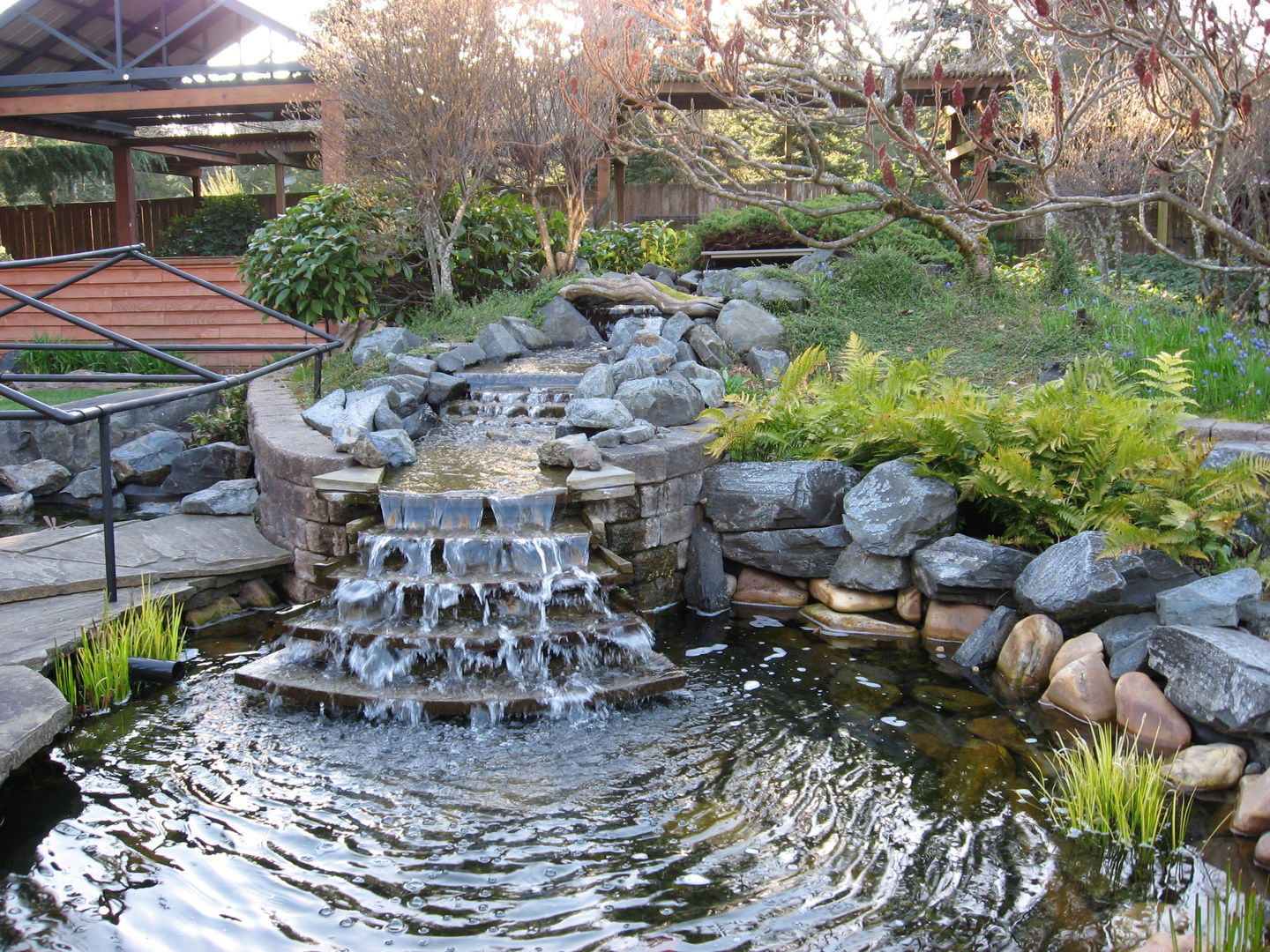 Customer photo review of Fall Winter Maintenance Cold Water Beneficial Bacteria Tablets