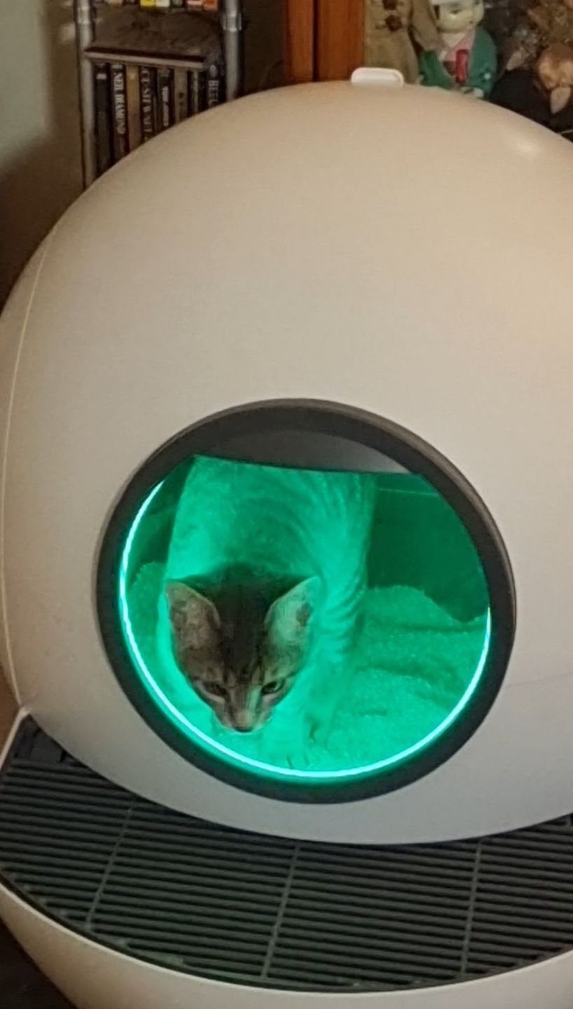 Customer photo review of PaWz Automatic Smart Cat Litter Box