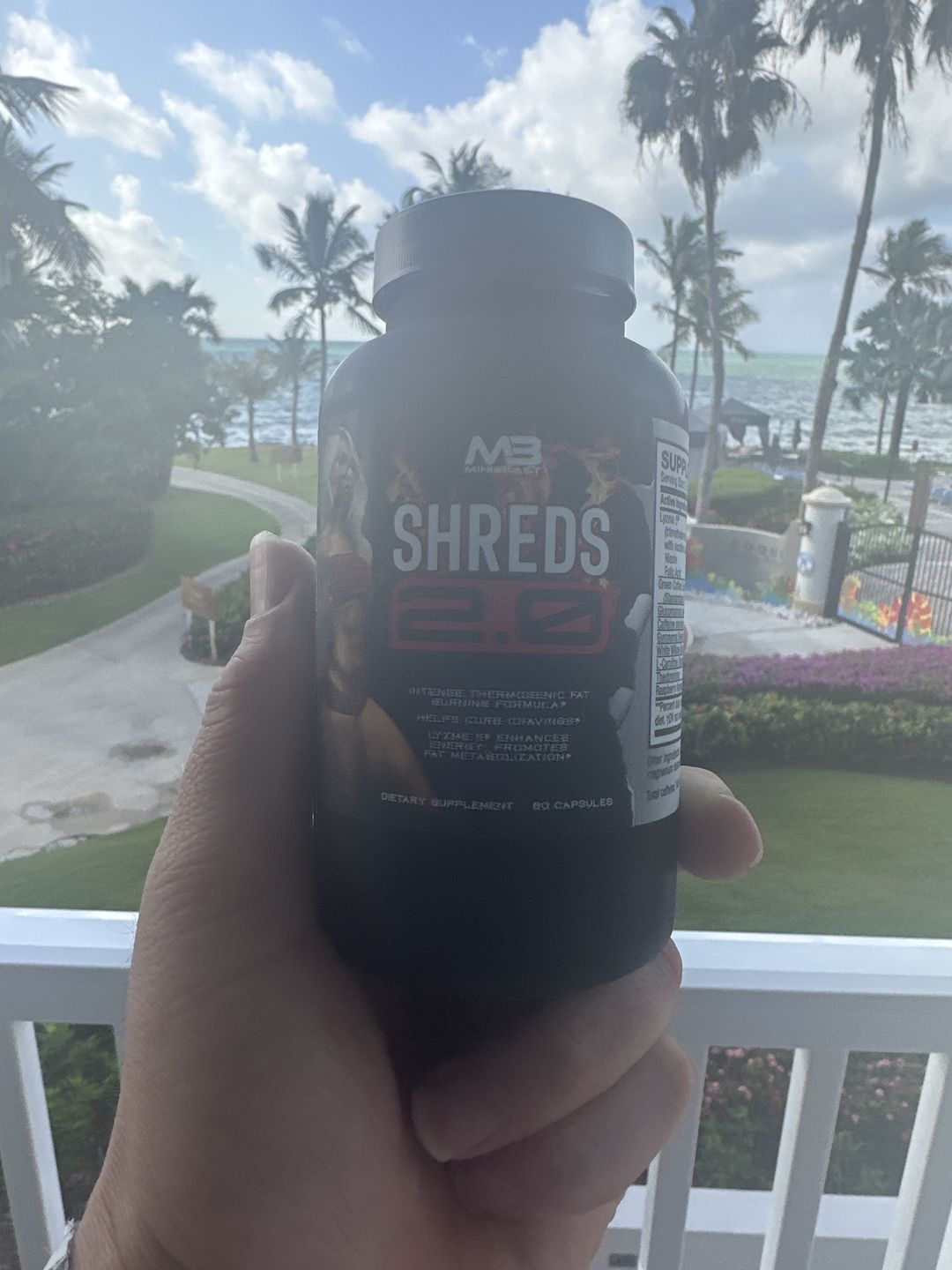 Customer photo review of Shreds 2.0