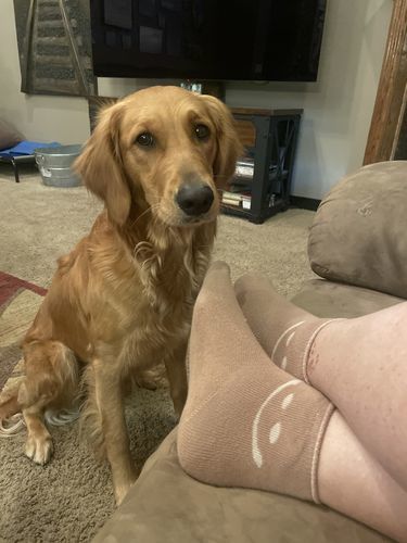Customer photo review of Happy Face Socks Pack