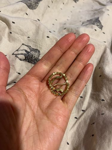 Customer photo review of Alice Hoop Earrings