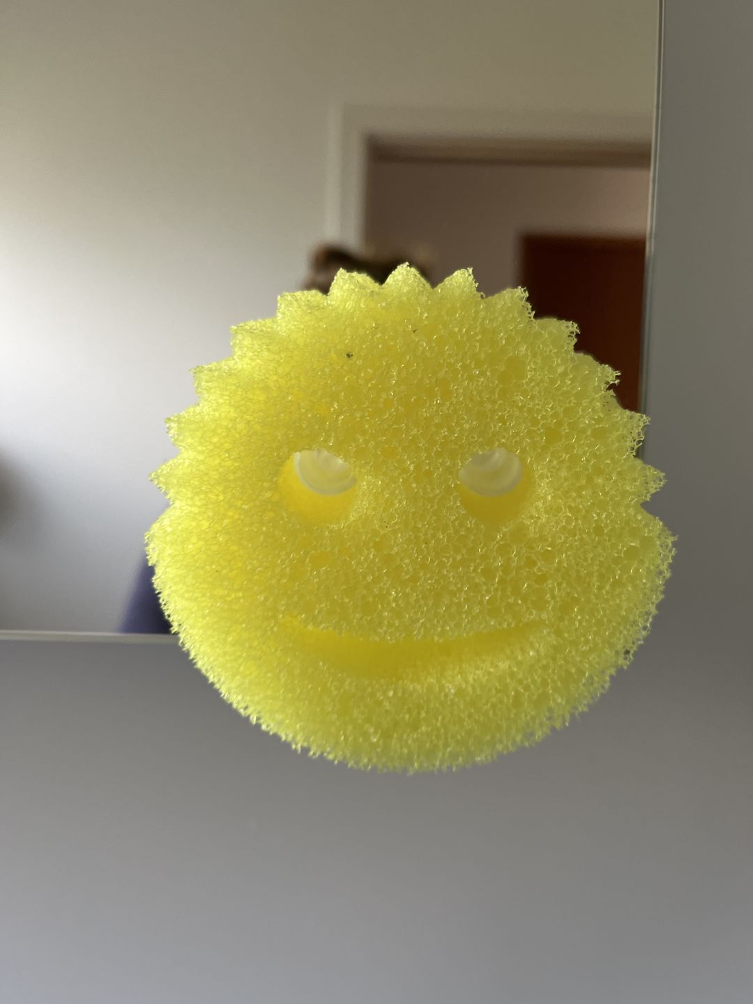 Customer photo review of Scrub Daddy Caddy