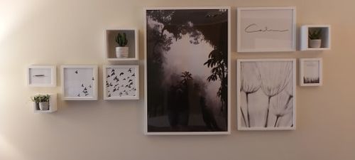 Customer photo review of Forever Dream