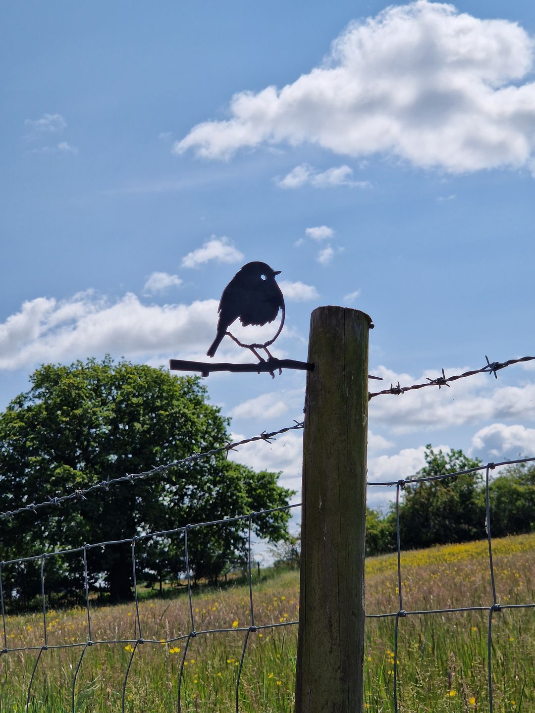 Customer photo review of Pair of Swallows