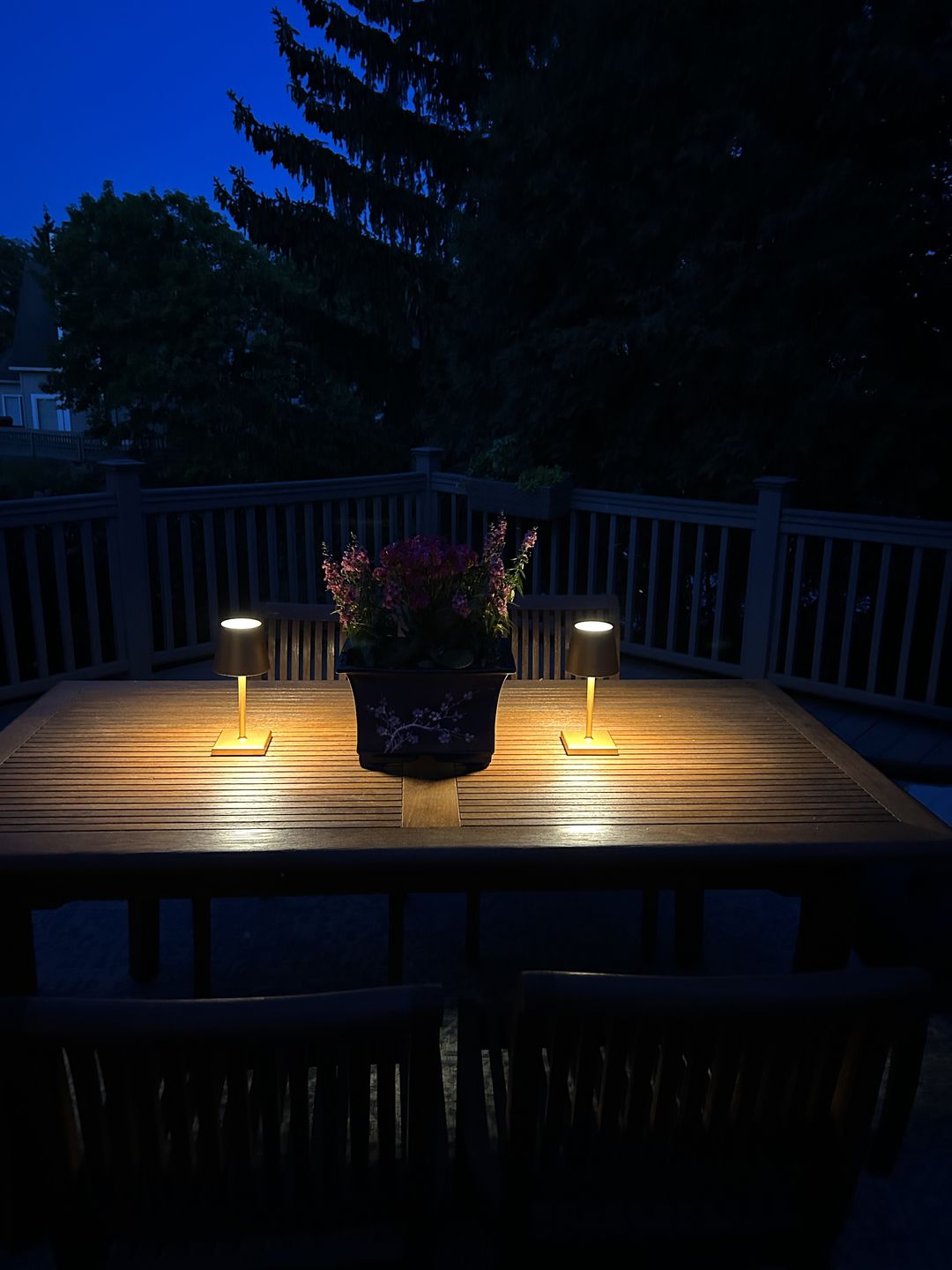 Customer photo review of Mini Luminar