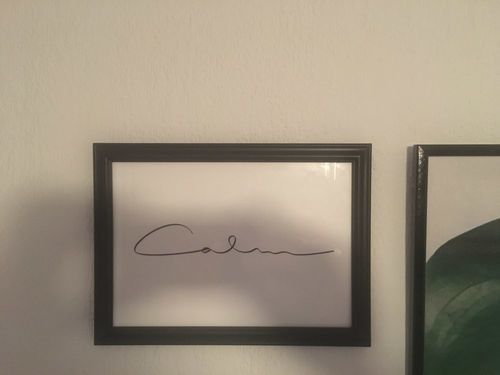 Customer photo review of Forever Dream