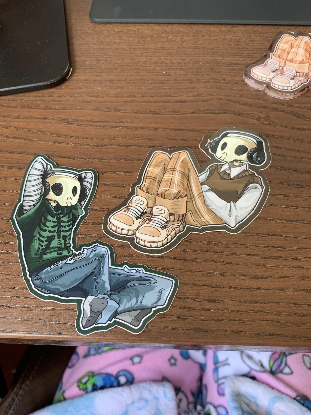 Customer photo review of Aesthetic Skeleton Stickers