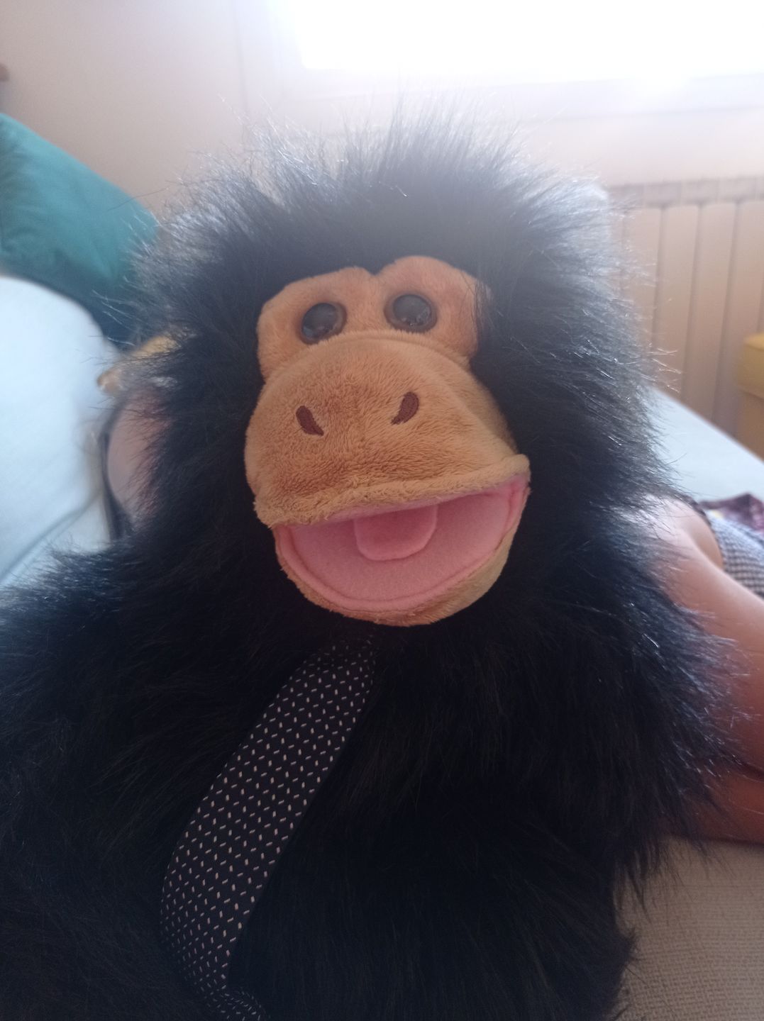 Customer photo review of Singe Marionnette