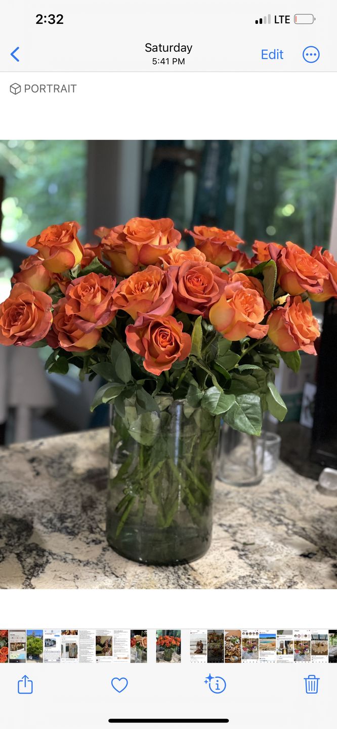 Customer photo review of Coffee Break Rose