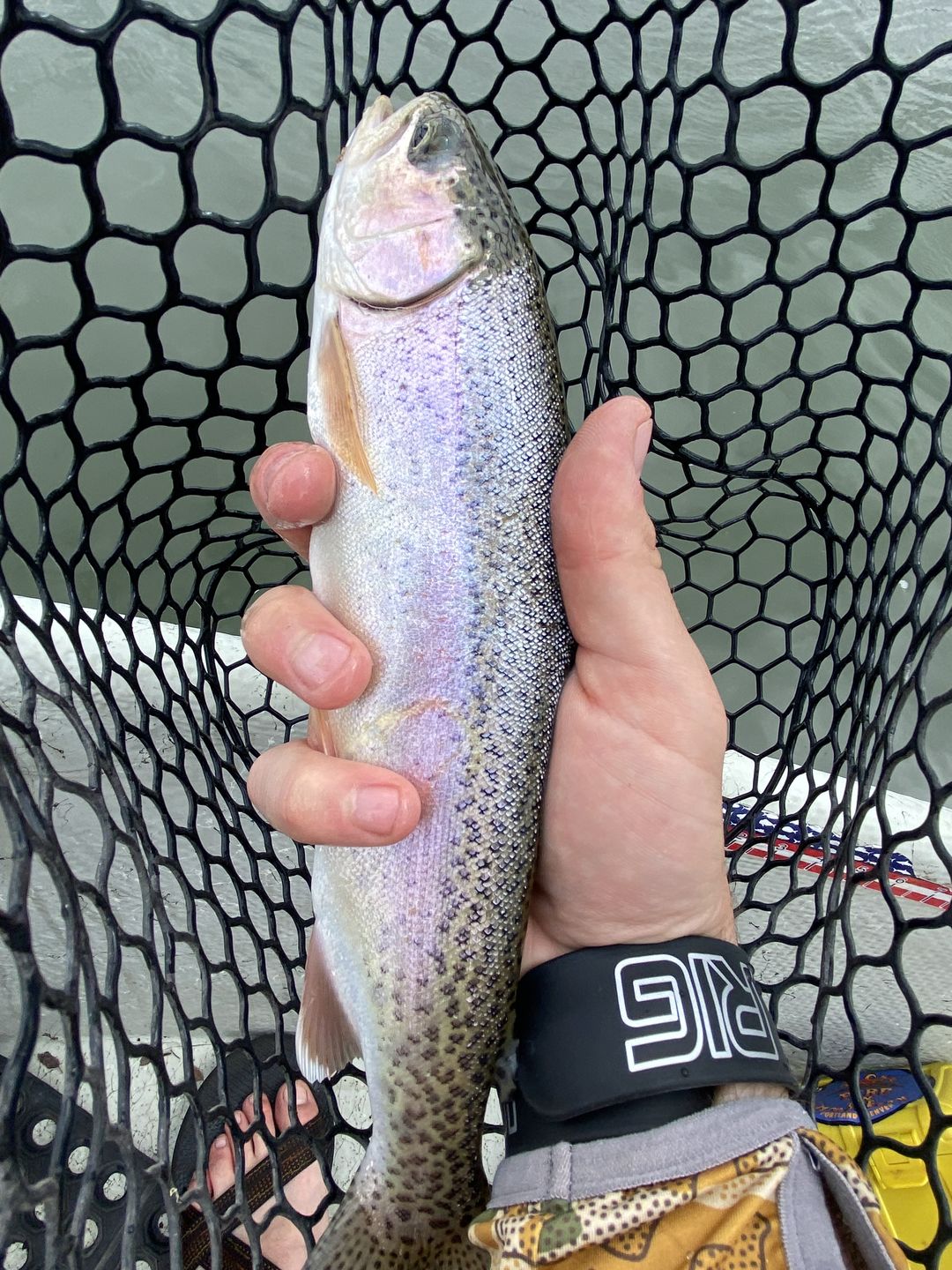 Customer photo review of Mag Band by Lid Rig