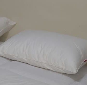 Customer photo review of Luxurious Plain Hotel Pillow