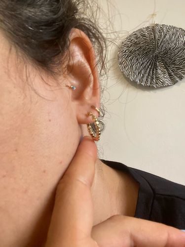 Customer photo review of Alice Hoop Earrings
