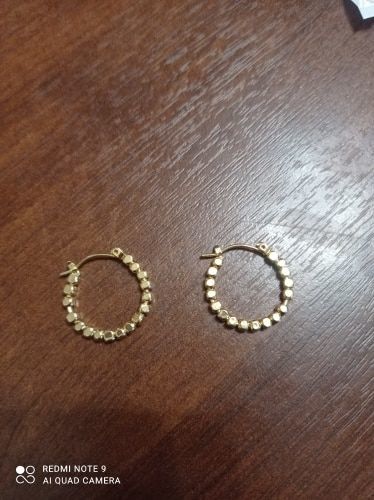 Customer photo review of Alice Hoop Earrings