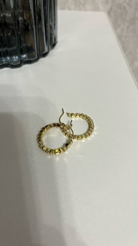 Customer photo review of Alice Hoop Earrings
