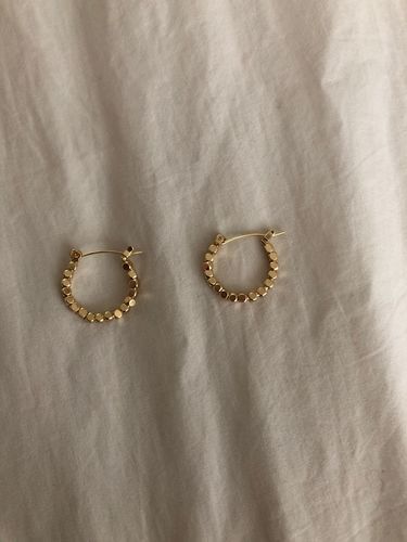 Customer photo review of Alice Hoop Earrings