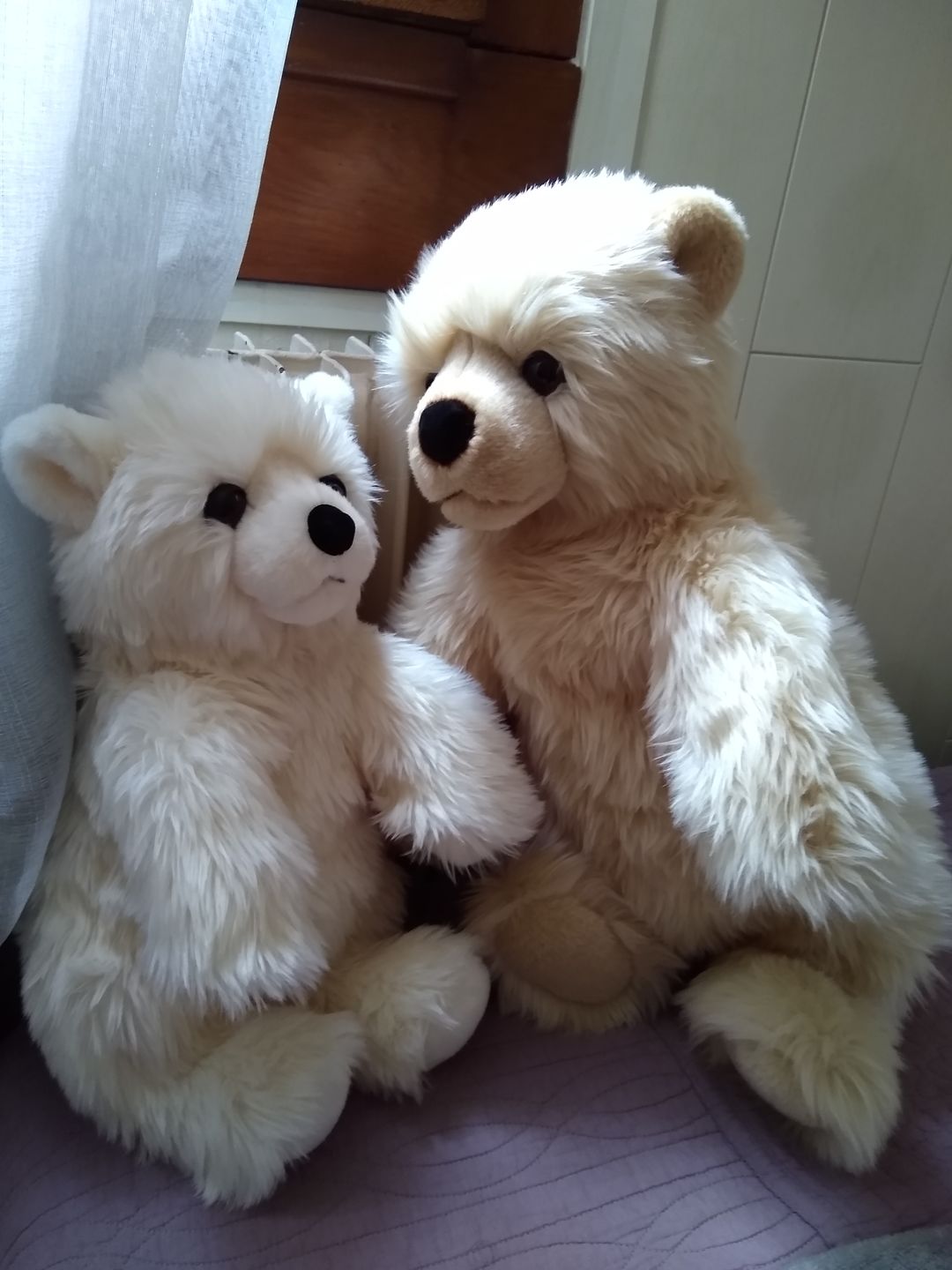 Customer photo review of Ma peluche Ours Jules