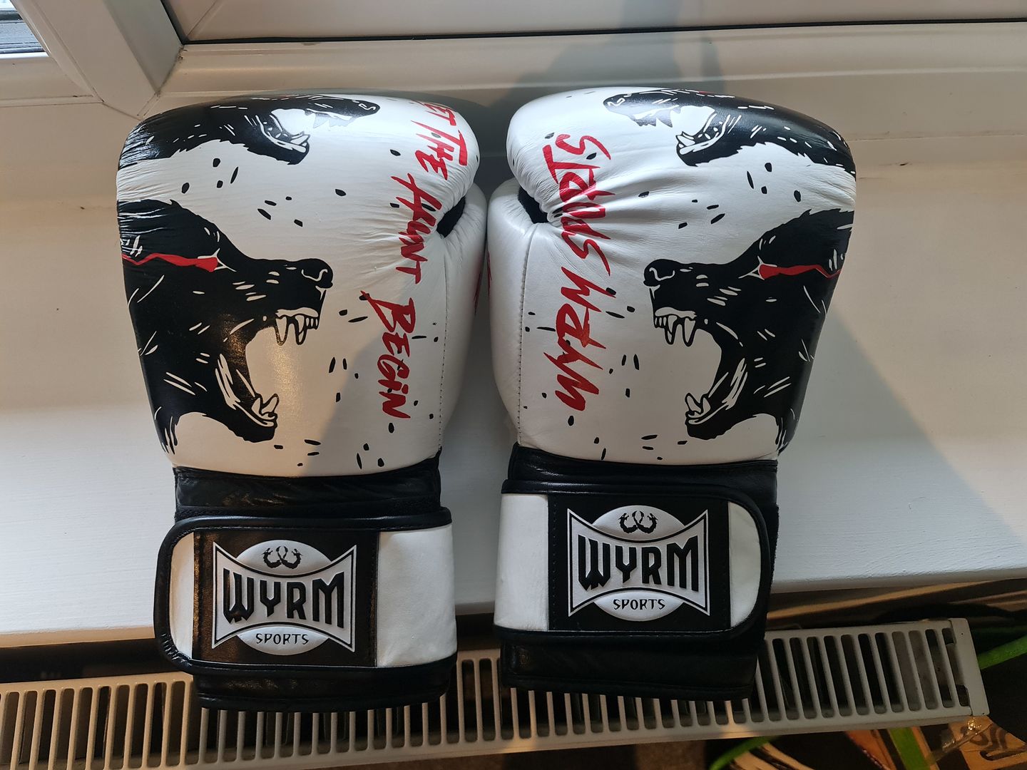 Customer photo review of Wolf White/Black Genuine Leather Boxing Gloves
