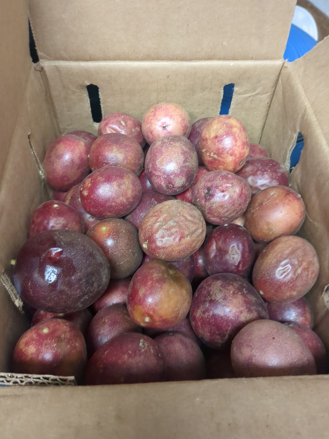 Customer photo review of Purple/Pink Passionfruit (Lilikoi) Box