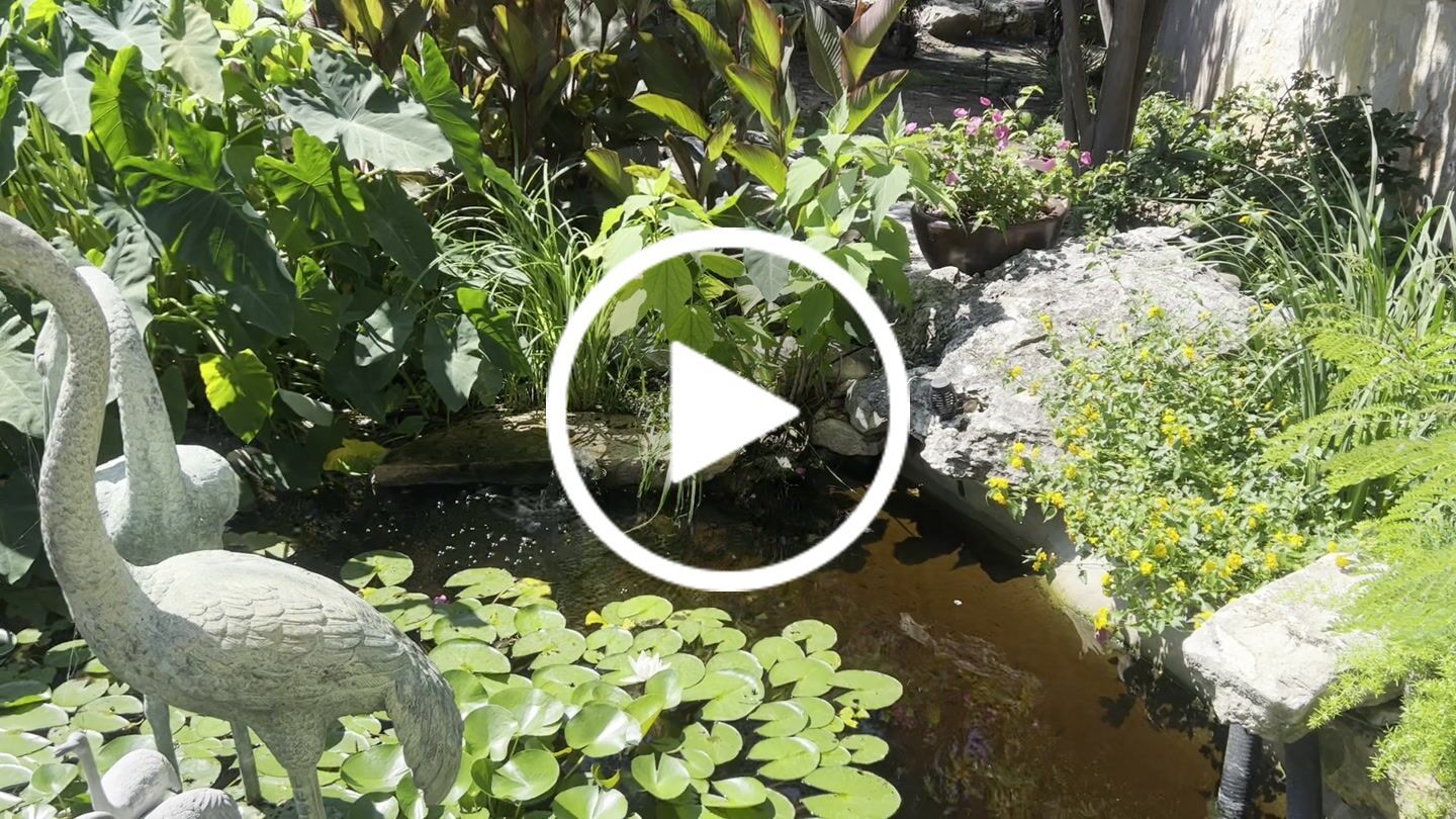 Customer video review of HBV-28 Large Koi Pond Filter