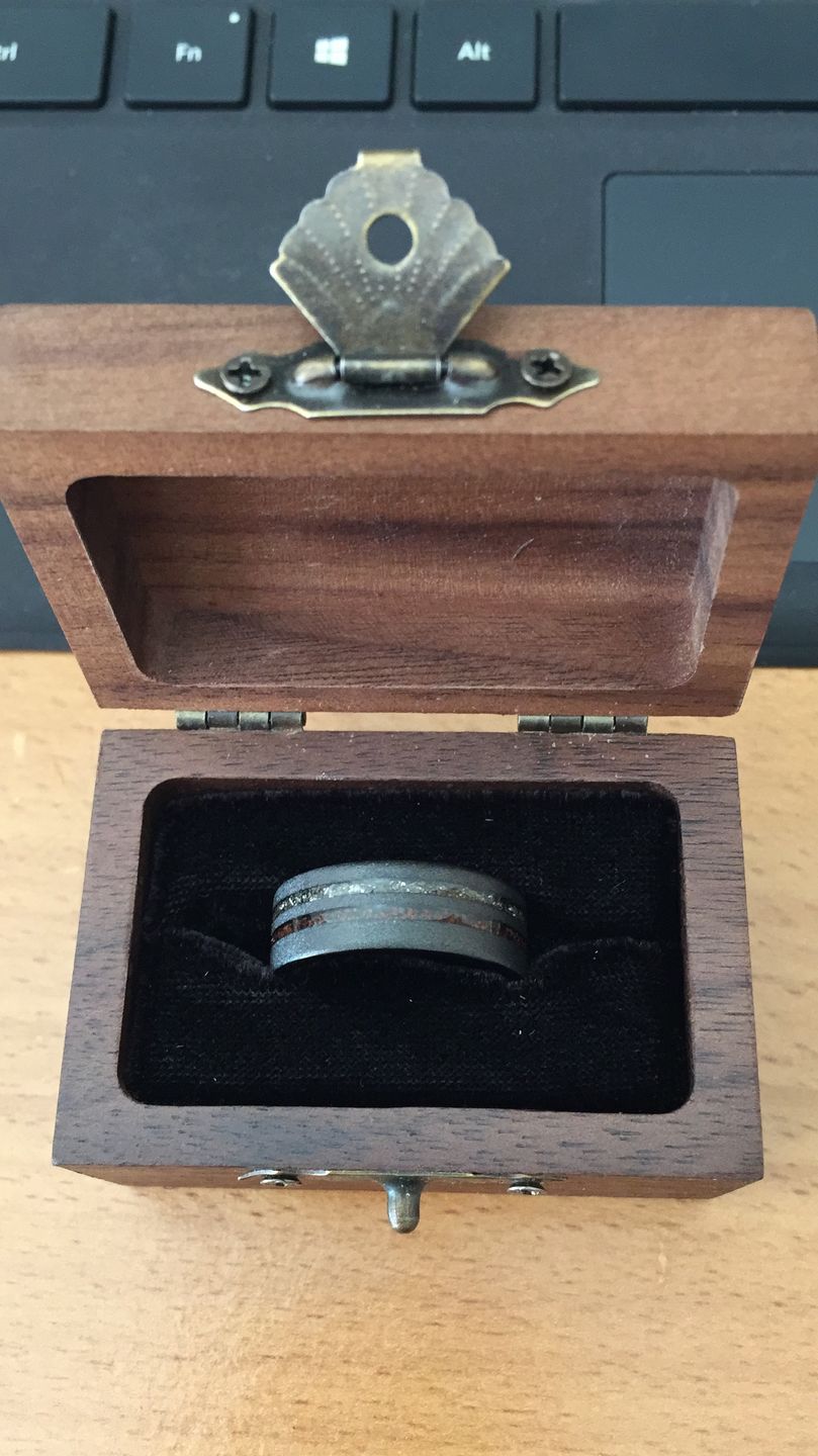Customer photo review of The Meteorsaur