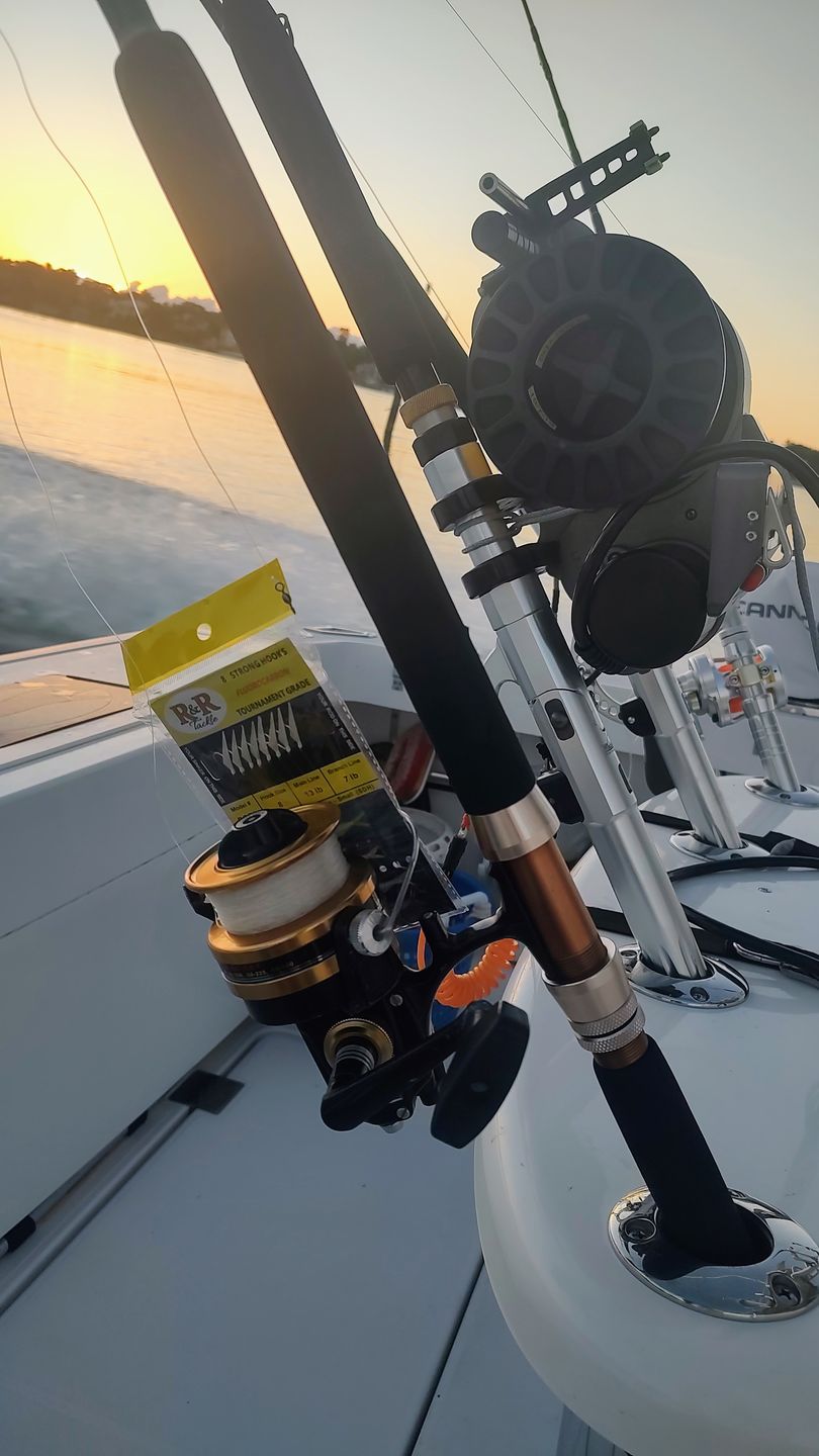 Customer photo review of PGF Tournament Series Fluorocarbon Bait Rigs
