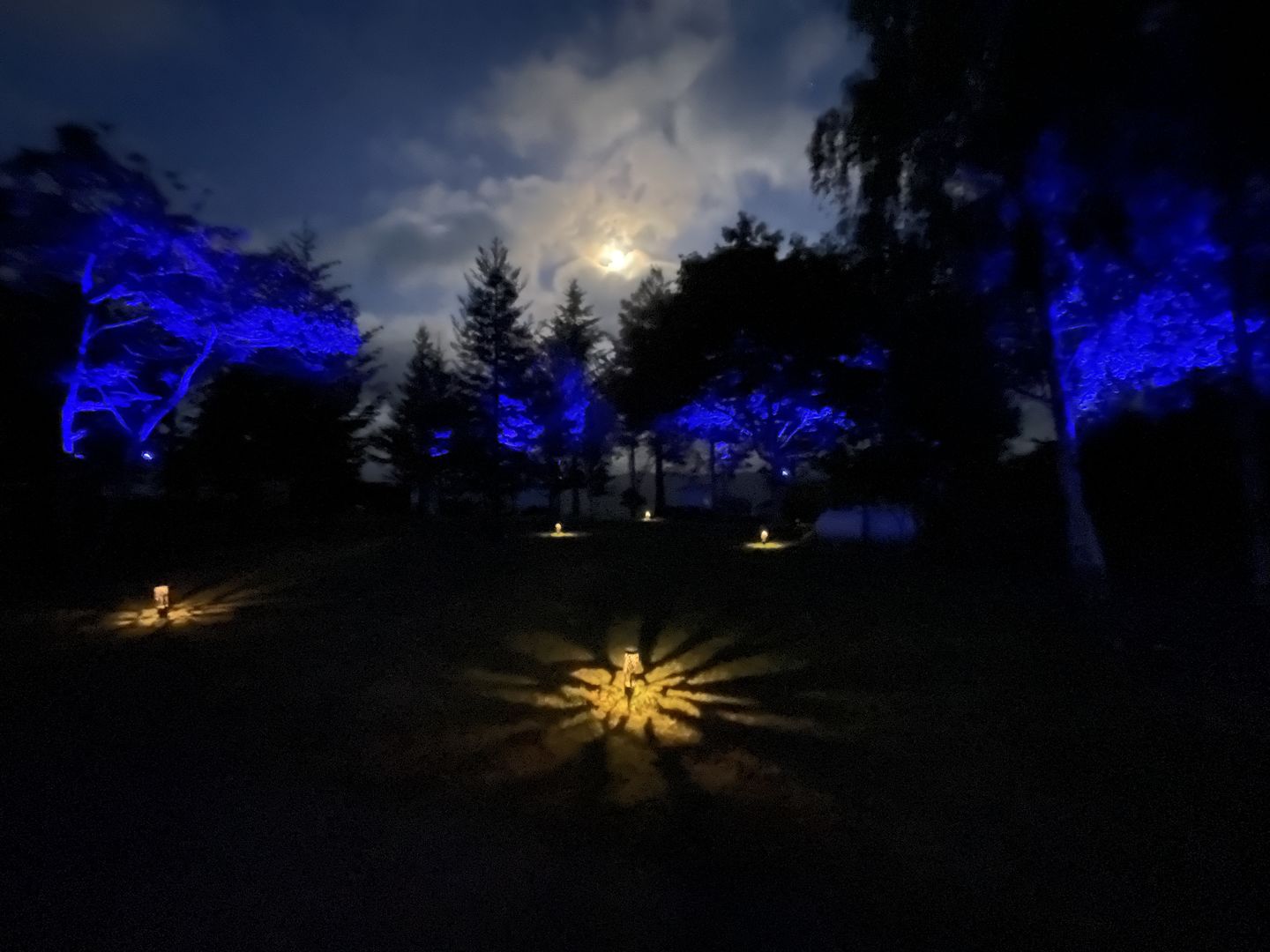 Customer photo review of TSUN 4/7 LEDs Outdoor Solar Spot Lights