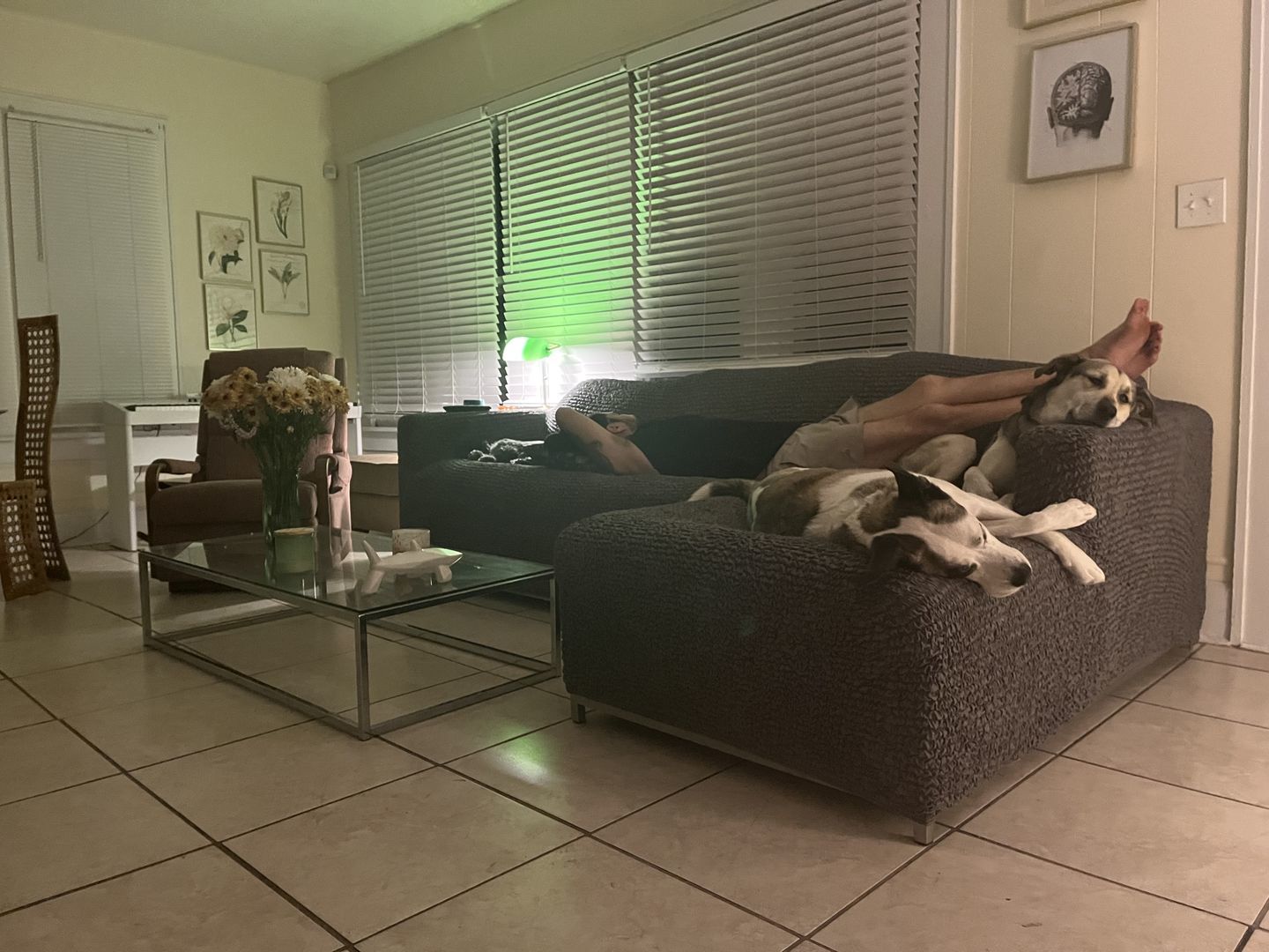 Customer photo review of Corner Sofa Cover - Charcoal, Microfibra