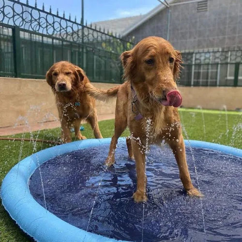 Customer photo review of Puppery Sprinkler Wasserspielmatte für Hunde