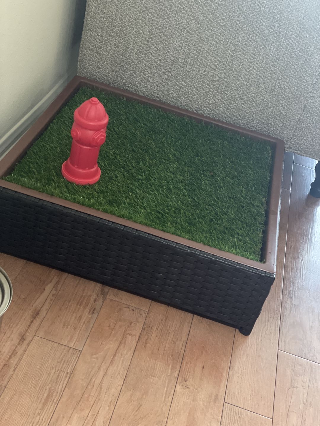 Customer photo review of Small Porch Potty